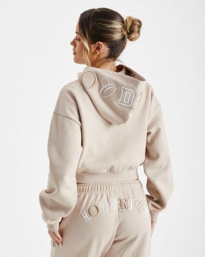 Hoodrich Calor Full Zip Hoodie Beige Mexico | SJIF63812
