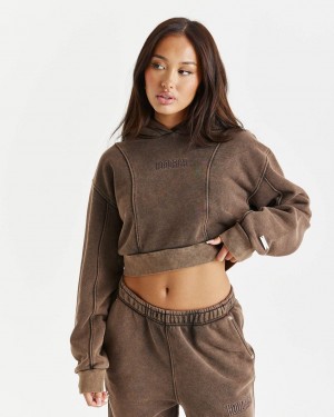 Hoodrich Fade Cropped Hoodie Marrom Mexico | CYLW93568