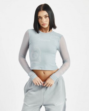 Hoodrich Mushu Long Sleeve Mesh Tee Grises Mexico | ZKYR62583