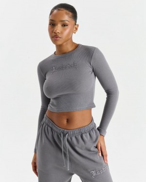 Hoodrich Tagra Long Sleeve Fitted T-Shirt Grises Mexico | HUVO21389
